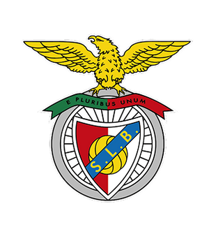 Collection Shield